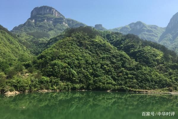 夏涼,除了果園外,這周邊附近還有蔬菜種植,畜禽養殖,綠化苗,經濟林苗